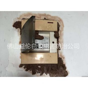 佛山市防治电箱蚁害