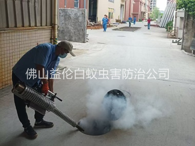 西南街道消灭蚊虫工程