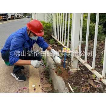 大塘红火蚁防治工程