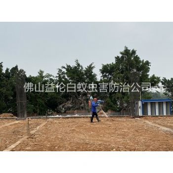 芦苞新建地基预防白蚁工程
